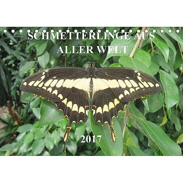 Schmetterlinge aus aller Welt (Tischkalender 2017 DIN A5 quer), J. Middelanis, D. Middelanis