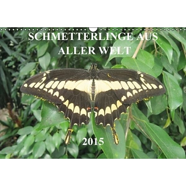 Schmetterlinge aus aller Welt (Wandkalender 2015 DIN A3 quer), D. Middelanis, J. Middelanis