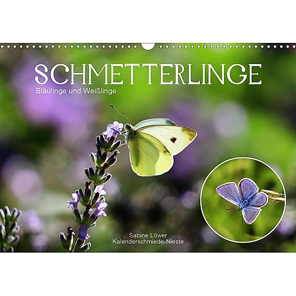 Schmetterlinge, Bläulinge und Weißlinge (Wandkalender 2020 DIN A3 quer), Sabine Löwer
