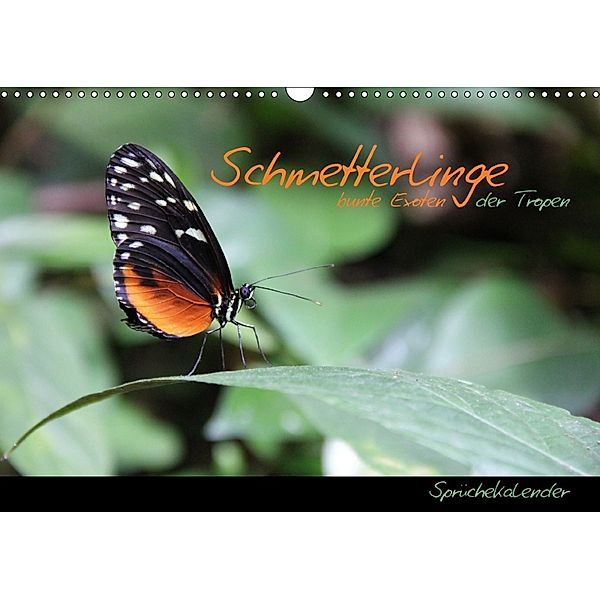 Schmetterlinge - bunte Exoten der Tropen (Wandkalender 2018 DIN A3 quer), Jana Thiem-Eberitsch