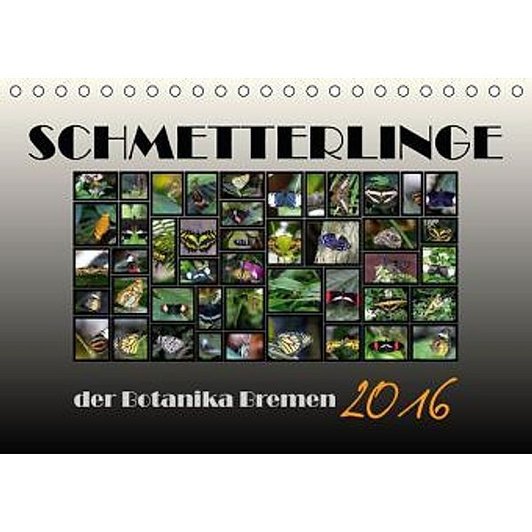 Schmetterlinge der Botanika Bremen (Tischkalender 2016 DIN A5 quer), Burkhard Körner