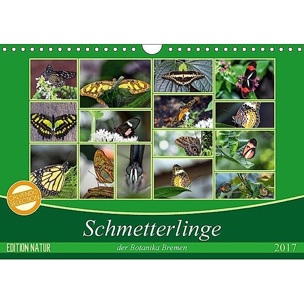 Schmetterlinge der Botanika Bremen (Wandkalender 2017 DIN A4 quer), Burkhard Körner