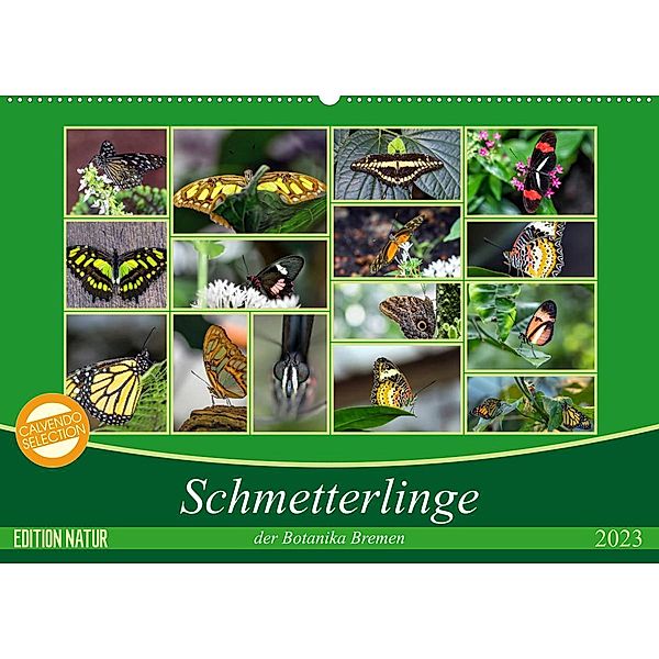 Schmetterlinge der Botanika Bremen (Wandkalender 2023 DIN A2 quer), Burkhard Körner