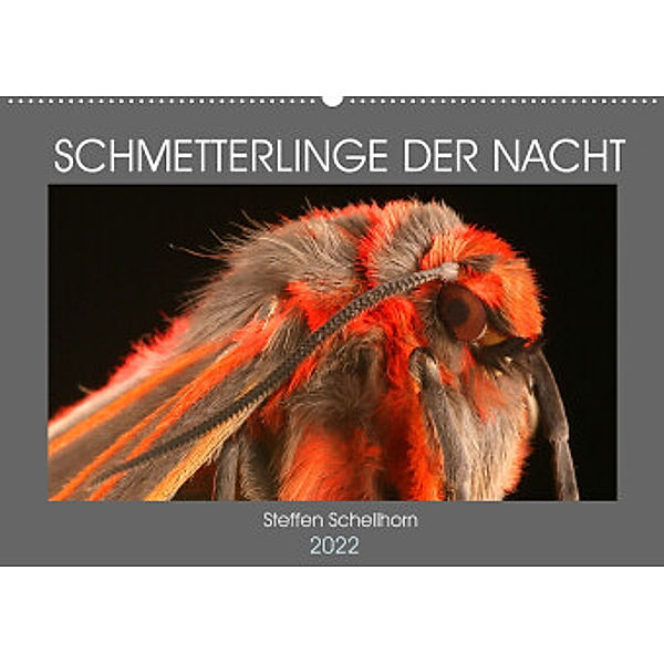 SCHMETTERLINGE DER NACHT (Wandkalender 2022 DIN A2 quer), Steffen Schellhorn