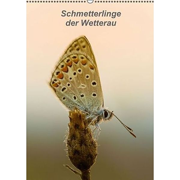 Schmetterlinge der Wetterau (Wandkalender 2016 DIN A2 hoch), Gerd Klinkowitz