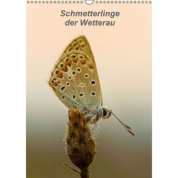 Schmetterlinge der Wetterau (Wandkalender 2016 DIN A3 hoch), Gerd Klinkowitz