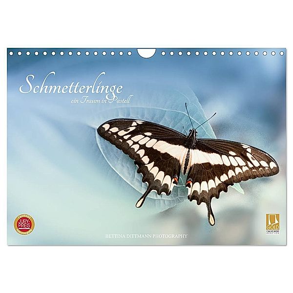 Schmetterlinge - ein Traum in Pastell (Wandkalender 2024 DIN A4 quer), CALVENDO Monatskalender, Bettina Dittmann