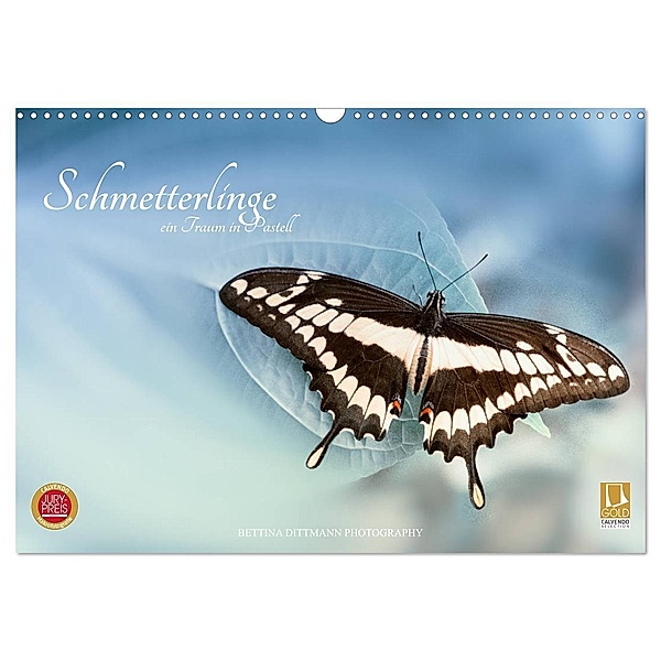 Schmetterlinge - ein Traum in Pastell (Wandkalender 2024 DIN A3 quer), CALVENDO Monatskalender, Bettina Dittmann