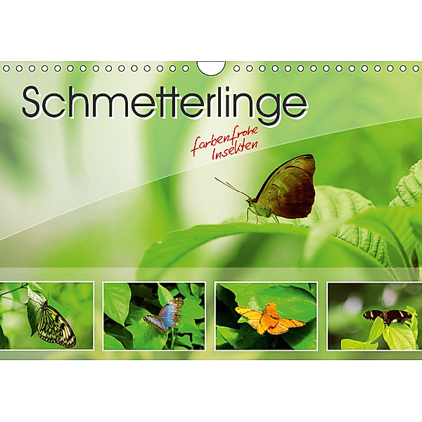 Schmetterlinge - farbenfrohe Insekten (Wandkalender 2019 DIN A4 quer), Stefan Mosert