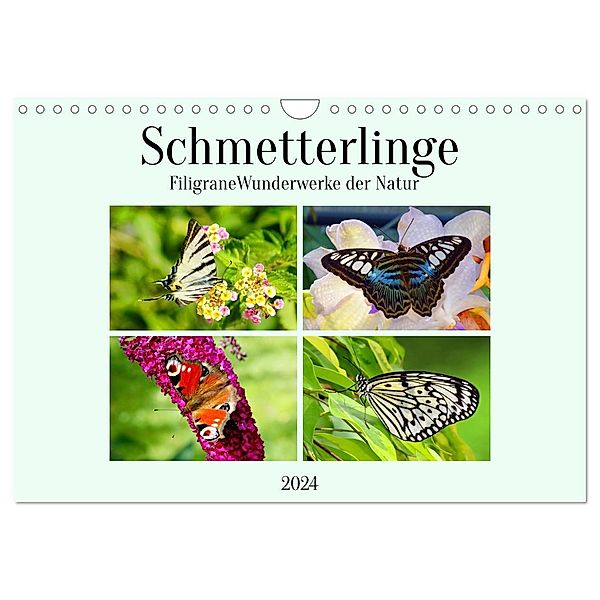 Schmetterlinge - Filigrane Wunderwerke der Natur (Wandkalender 2024 DIN A4 quer), CALVENDO Monatskalender, Claudia Kleemann