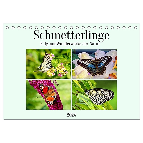 Schmetterlinge - Filigrane Wunderwerke der Natur (Tischkalender 2024 DIN A5 quer), CALVENDO Monatskalender, Claudia Kleemann