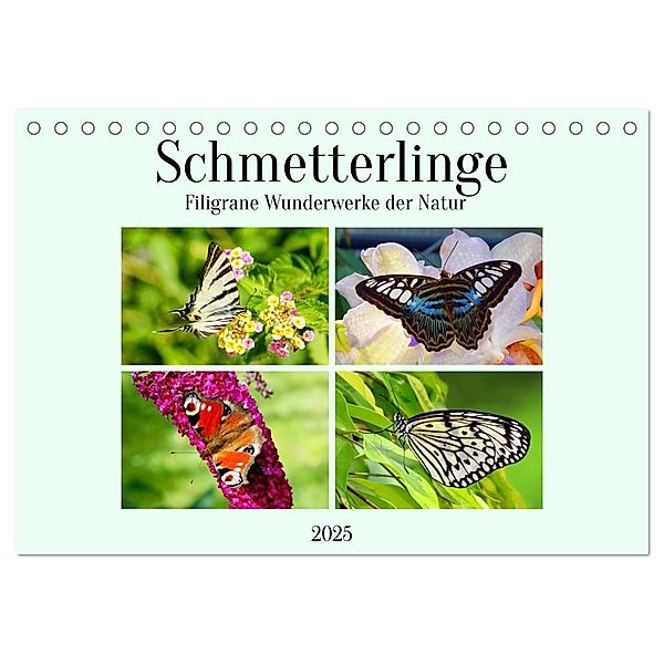 Schmetterlinge - Filigrane Wunderwerke der Natur (Tischkalender 2025 DIN A5 quer), CALVENDO Monatskalender, Calvendo, Claudia Kleemann