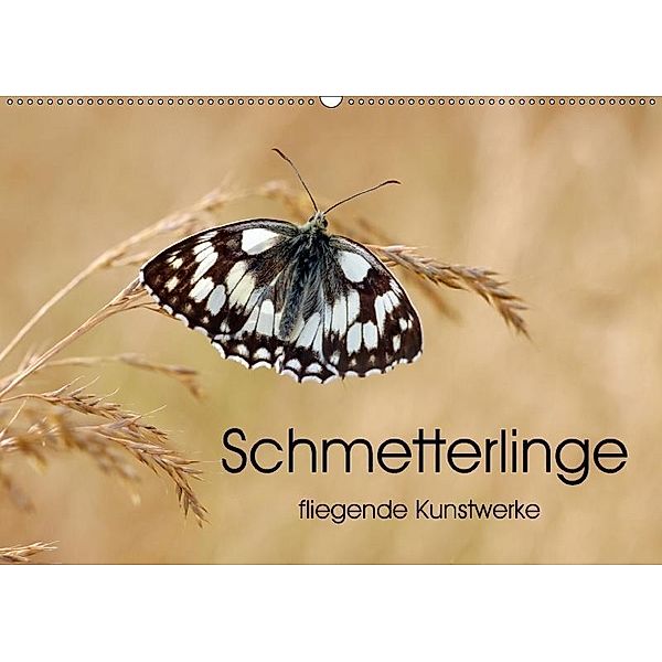 Schmetterlinge - fliegende Kunstwerke (Wandkalender 2017 DIN A2 quer), Eileen Kumpf
