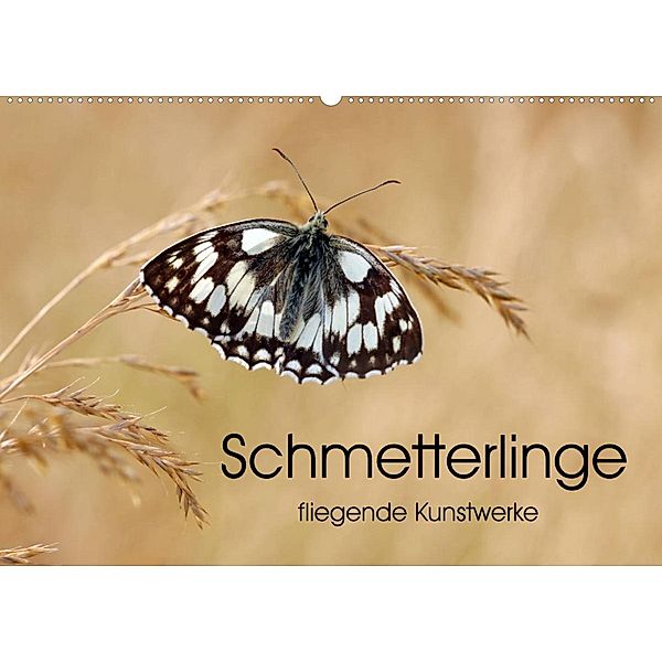 Schmetterlinge - fliegende Kunstwerke (Wandkalender 2023 DIN A2 quer), Eileen Kumpf