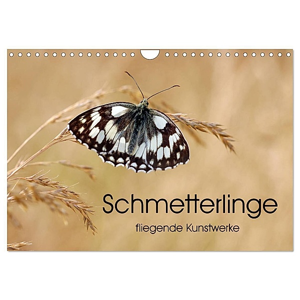 Schmetterlinge - fliegende Kunstwerke (Wandkalender 2024 DIN A4 quer), CALVENDO Monatskalender, Eileen Kumpf