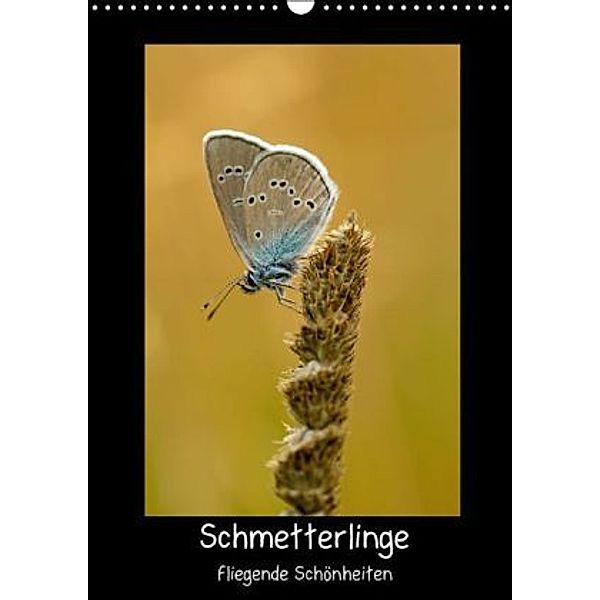 Schmetterlinge - fliegende Schönheiten (Wandkalender 2015 DIN A3 hoch), Markus Kärcher