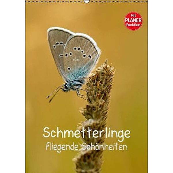 Schmetterlinge - fliegende Schönheiten (Wandkalender 2016 DIN A2 hoch), Markus Kärcher