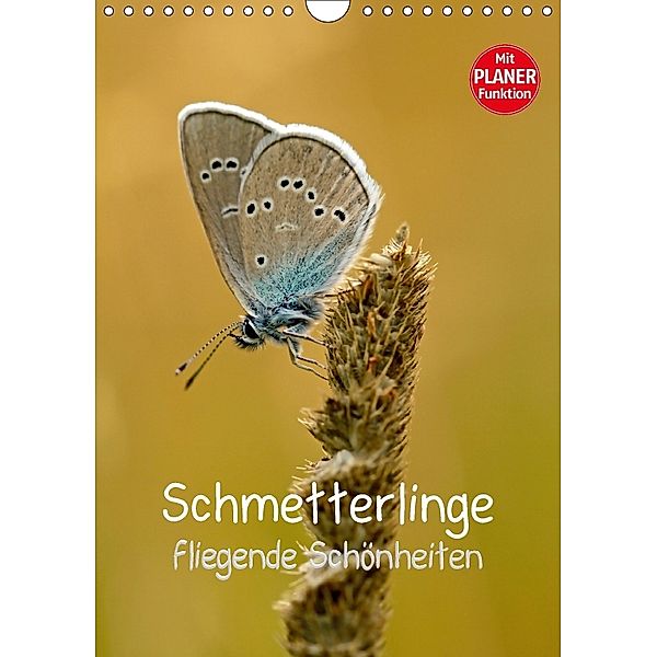 Schmetterlinge - fliegende Schönheiten (Wandkalender 2018 DIN A4 hoch), Markus Kärcher