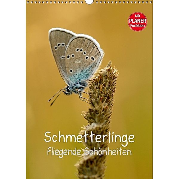 Schmetterlinge - fliegende Schönheiten (Wandkalender 2018 DIN A3 hoch), Markus Kärcher