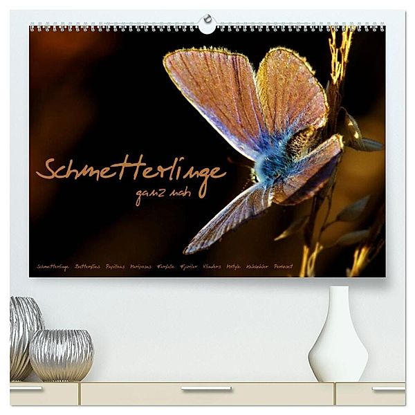 Schmetterlinge ganz nah (hochwertiger Premium Wandkalender 2024 DIN A2 quer), Kunstdruck in Hochglanz, Julia Delgado