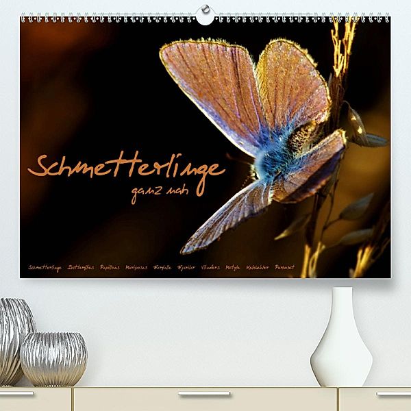 Schmetterlinge ganz nah (Premium-Kalender 2020 DIN A2 quer), Julia Delgado