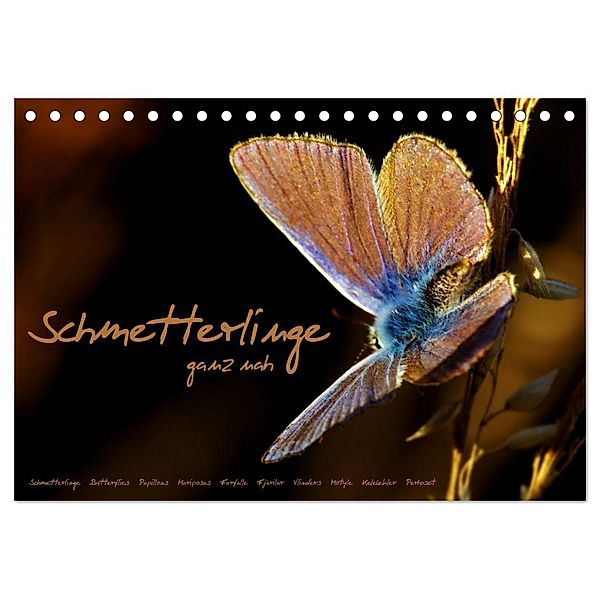 Schmetterlinge ganz nah (Tischkalender 2025 DIN A5 quer), CALVENDO Monatskalender, Calvendo, Julia Delgado