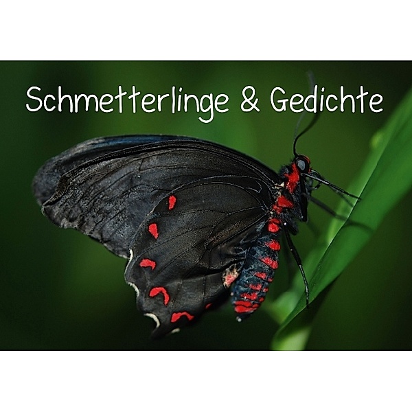 Schmetterlinge & Gedichte (Tischaufsteller DIN A5 quer), Elisabeth Stanzer