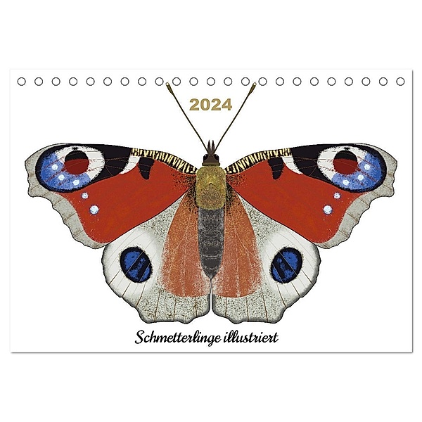 Schmetterlinge illustriert (Tischkalender 2024 DIN A5 quer), CALVENDO Monatskalender, Calvendo