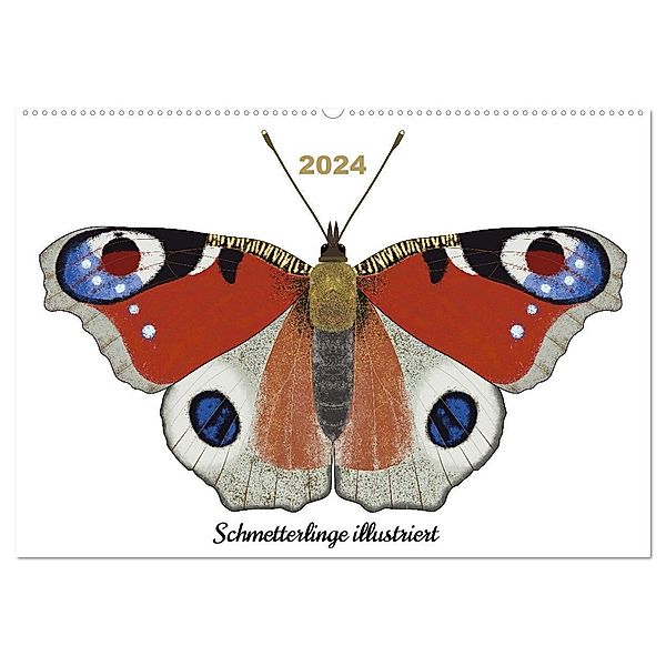 Schmetterlinge illustriert (Wandkalender 2024 DIN A2 quer), CALVENDO Monatskalender, Calvendo