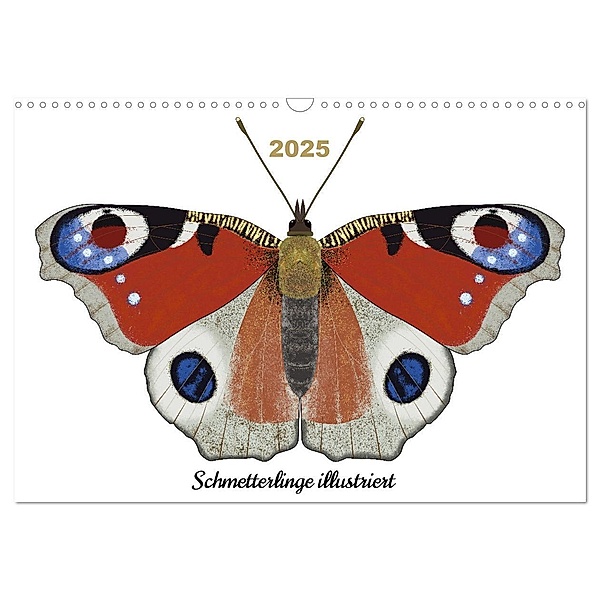 Schmetterlinge illustriert (Wandkalender 2025 DIN A3 quer), CALVENDO Monatskalender, Calvendo