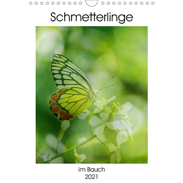 Schmetterlinge im Bauch (Wandkalender 2021 DIN A4 hoch), Same