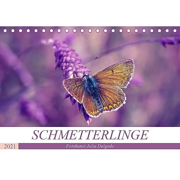 Schmetterlinge im Fokus (Tischkalender 2021 DIN A5 quer), Julia Delgado