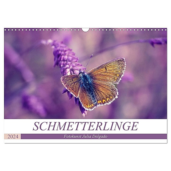 Schmetterlinge im Fokus (Wandkalender 2024 DIN A3 quer), CALVENDO Monatskalender, Julia Delgado