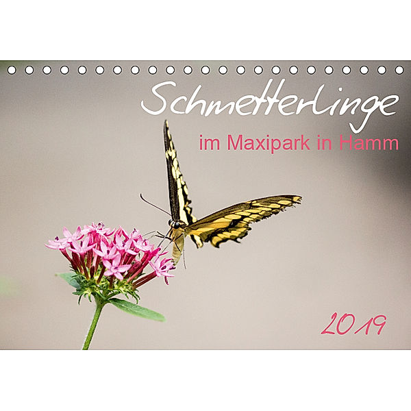 Schmetterlinge im Maxipark in Hamm (Tischkalender 2019 DIN A5 quer), Frauke Gimpel