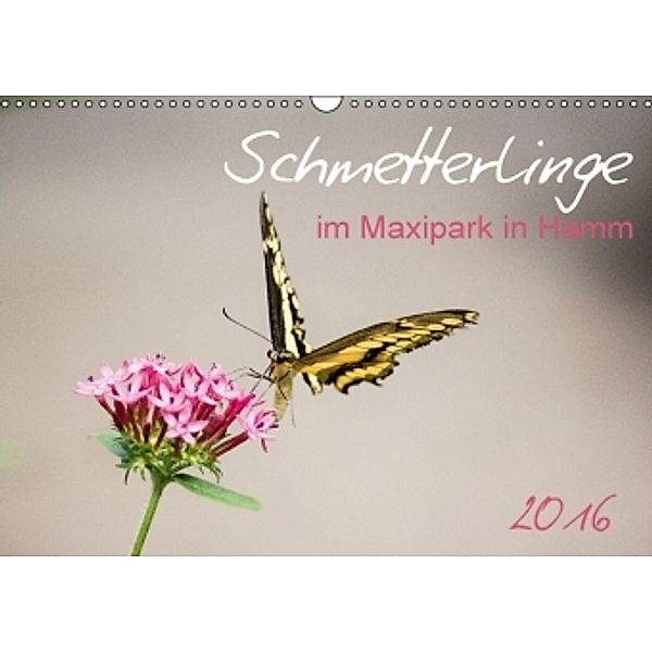 Schmetterlinge im Maxipark in Hamm (Wandkalender 2016 DIN A3 quer), Frauke Gimpel