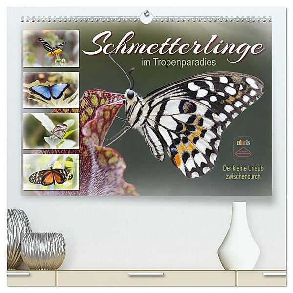 Schmetterlinge im Tropenparadies (hochwertiger Premium Wandkalender 2024 DIN A2 quer), Kunstdruck in Hochglanz, Sabine Löwer