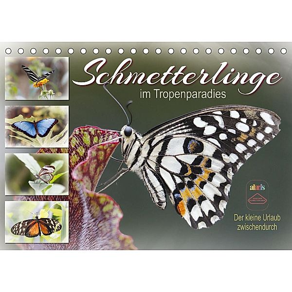 Schmetterlinge im Tropenparadies (Tischkalender 2023 DIN A5 quer), Sabine Löwer