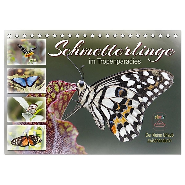 Schmetterlinge im Tropenparadies (Tischkalender 2024 DIN A5 quer), CALVENDO Monatskalender, Sabine Löwer