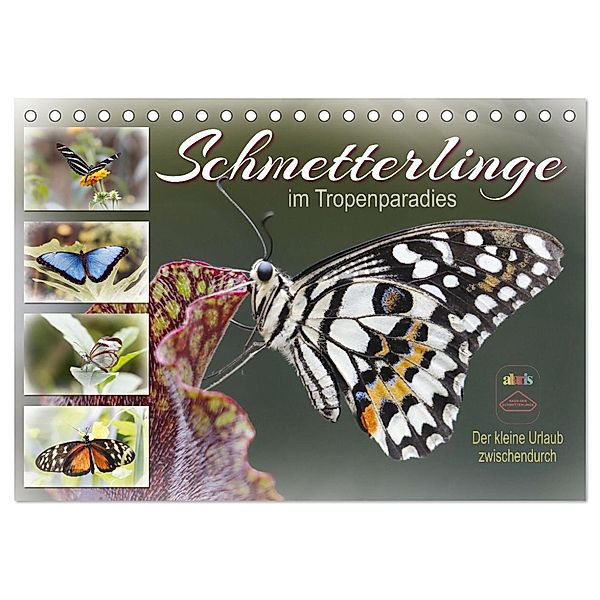 Schmetterlinge im Tropenparadies (Tischkalender 2025 DIN A5 quer), CALVENDO Monatskalender, Calvendo, Sabine Löwer