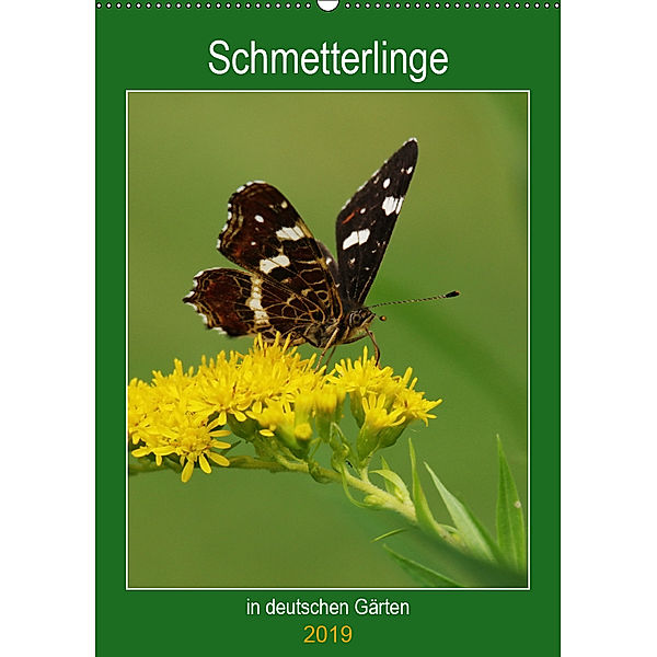 Schmetterlinge in deutschen Gärten (Wandkalender 2019 DIN A2 hoch), Werner Prescher