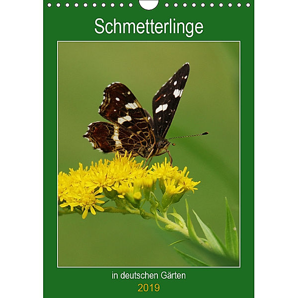 Schmetterlinge in deutschen Gärten (Wandkalender 2019 DIN A4 hoch), Werner Prescher