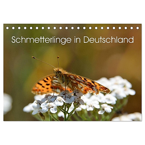 Schmetterlinge in Deutschland (Tischkalender 2024 DIN A5 quer), CALVENDO Monatskalender, Thomas Freiberg - Fotografie Licht & Schatten