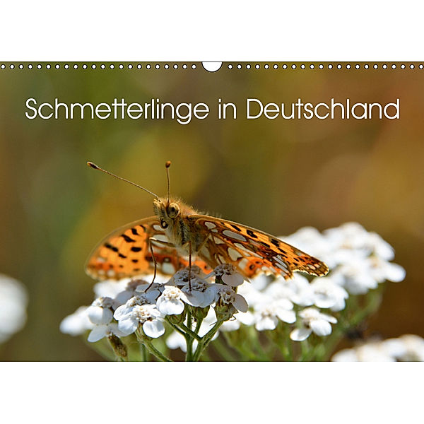 Schmetterlinge in Deutschland (Wandkalender 2019 DIN A3 quer), Thomas Freiberg