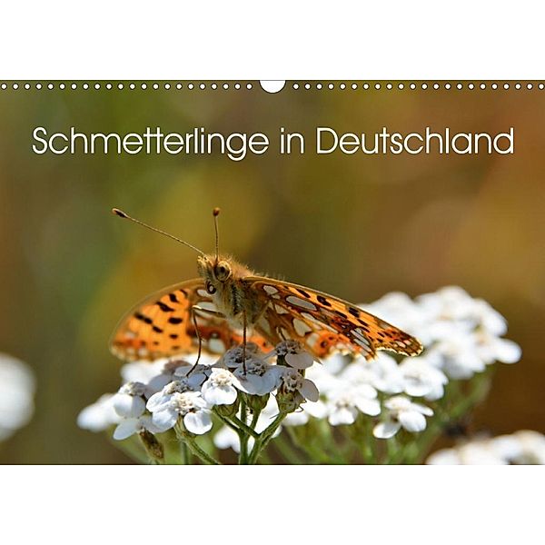 Schmetterlinge in Deutschland (Wandkalender 2020 DIN A3 quer), Thomas Freiberg