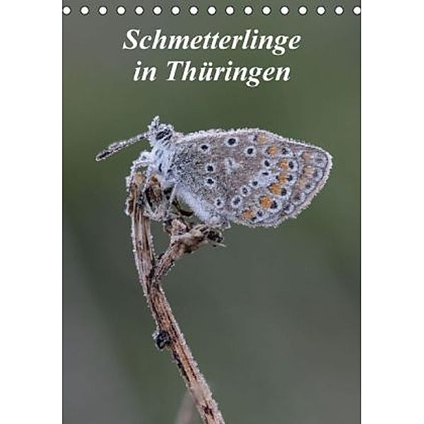Schmetterlinge in Thüringen (Tischkalender 2016 DIN A5 hoch), Bernd Sprenger