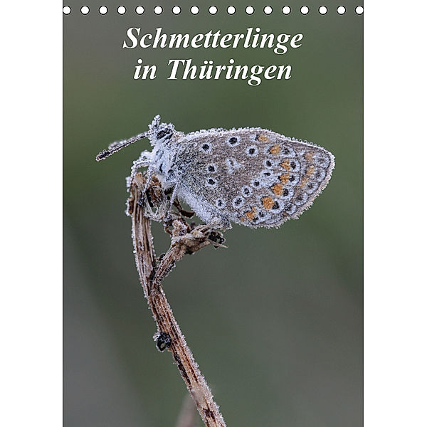 Schmetterlinge in Thüringen (Tischkalender 2019 DIN A5 hoch), Bernd Sprenger