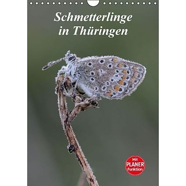 Schmetterlinge in Thüringen (Wandkalender 2016 DIN A4 hoch), Bernd Sprenger
