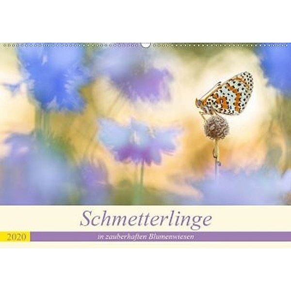 Schmetterlinge in zauberhaften Blumenwiesen (Wandkalender 2020 DIN A2 quer), Perdita Petzl