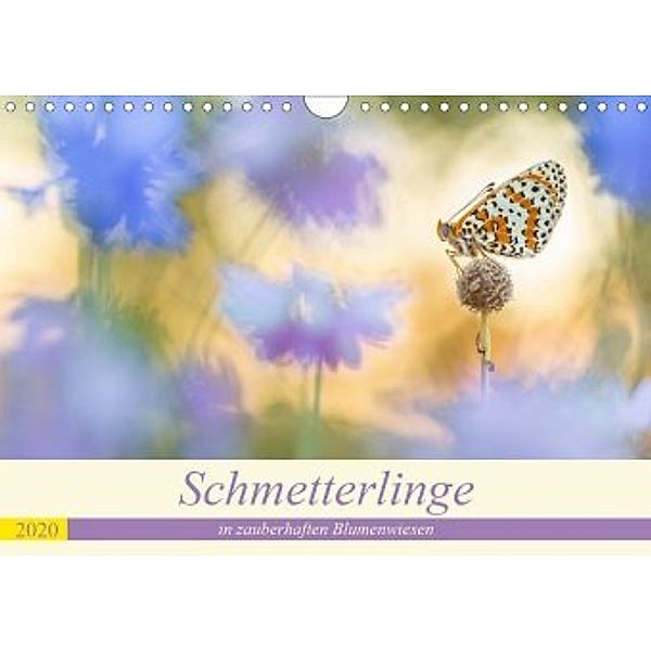 Schmetterlinge in zauberhaften Blumenwiesen (Wandkalender 2020 DIN A4 quer), Perdita Petzl