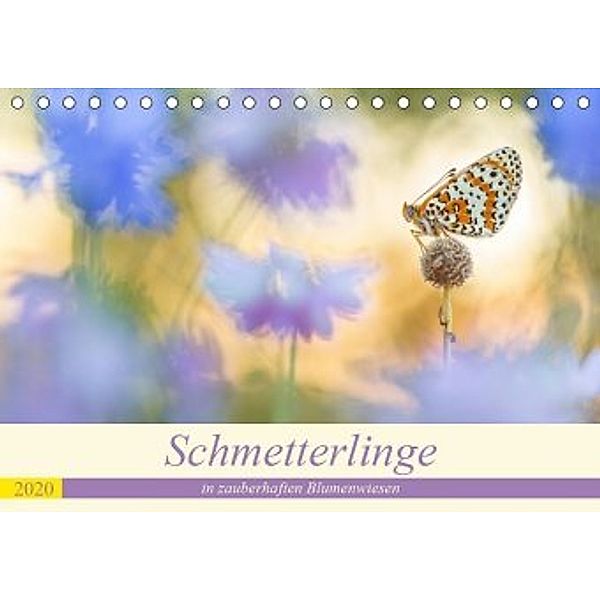 Schmetterlinge in zauberhaften Blumenwiesen (Tischkalender 2020 DIN A5 quer), Perdita Petzl